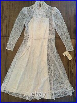 Victorian 70s NWT Sheer Lace Slip Dress Cottagecore Romantic High Neck 4-6 Vtg
