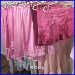 Vintage to Now Lingerie Lot? Of 40 Pastels Vanity Fair? Claire Sandra? Lucie Ann